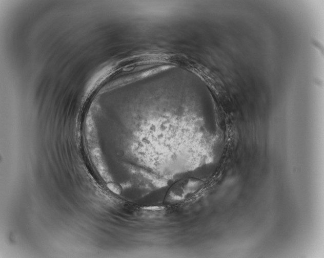 X0000096400053200802141527