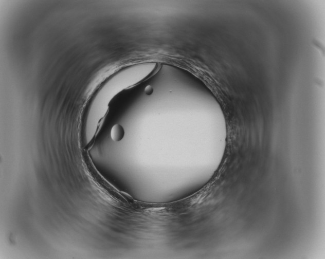 X0000096400054200802141527