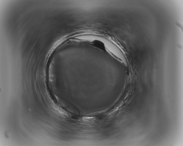 X0000096400055200802141528