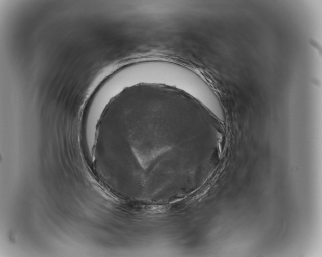 X0000096400056200802141528