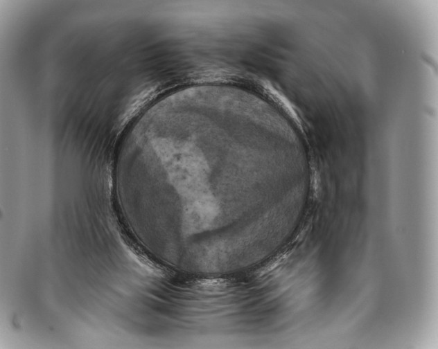 X0000096400059200802141528