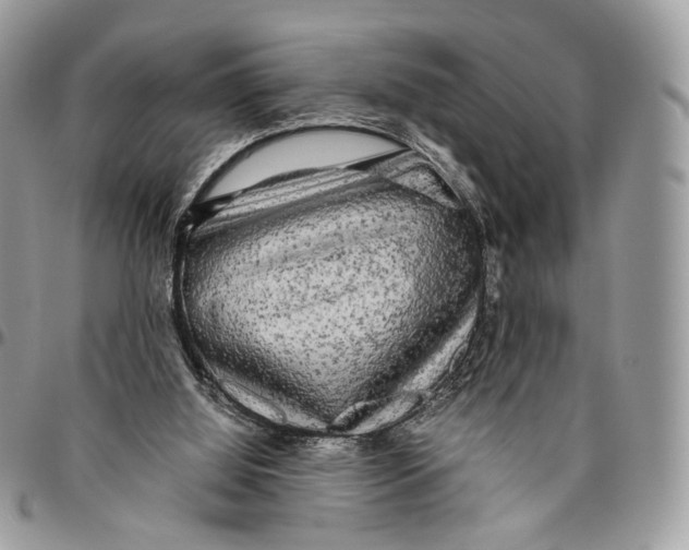 X0000096400060200802141528