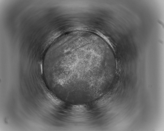 X0000096400061200802141528