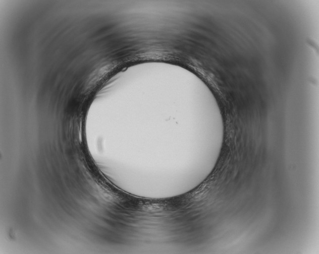 X0000096400062200802141528