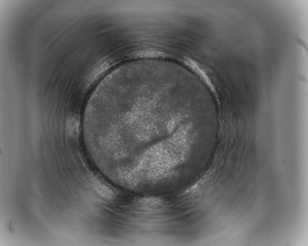 X0000096400063200802141528