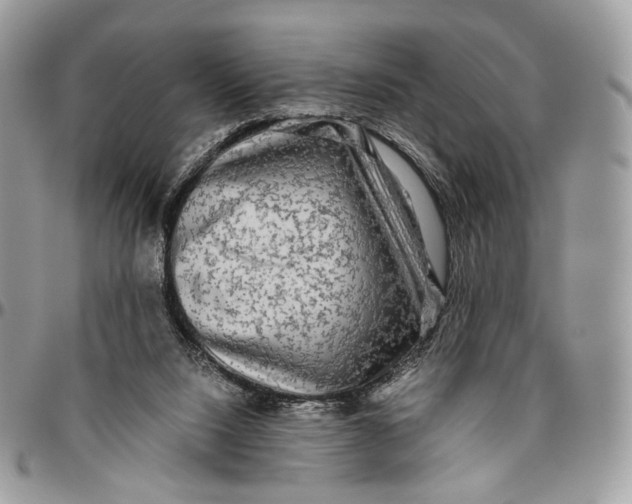 X0000096400064200802141528