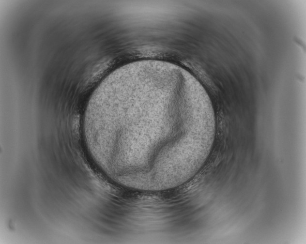 X0000096400066200802141528