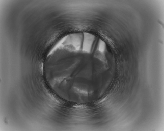 X0000096400067200802141528