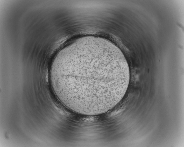 X0000096400068200802141528