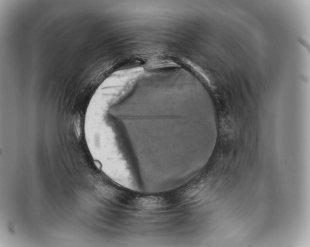 X0000096400069200802141528