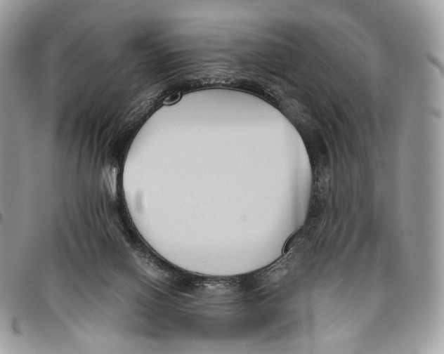 X0000096400070200802141528