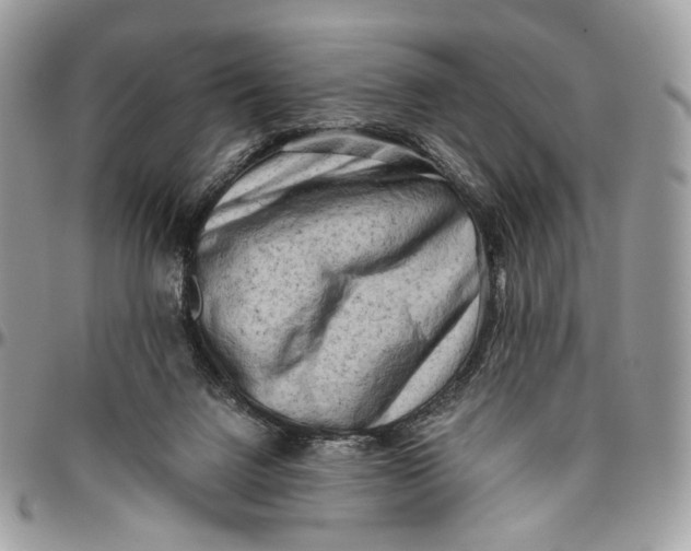 X0000096400072200802141528