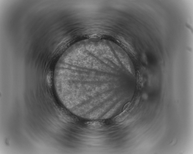 X0000096400074200802141528