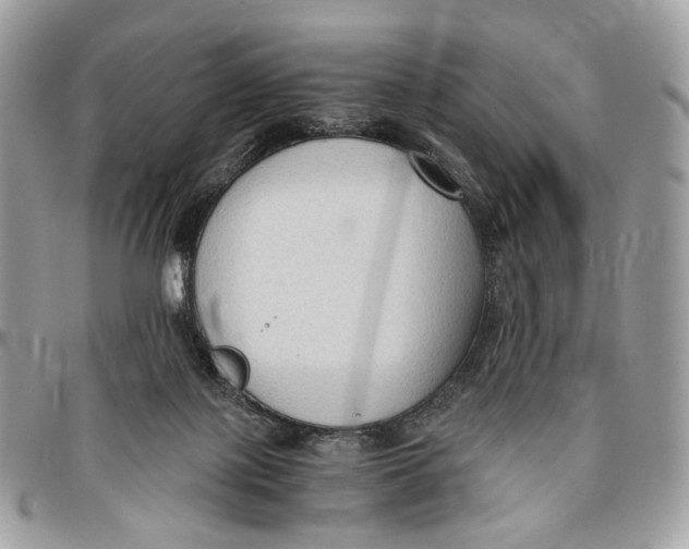 X0000096400075200802141528