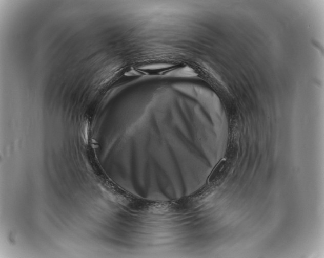 X0000096400076200802141528