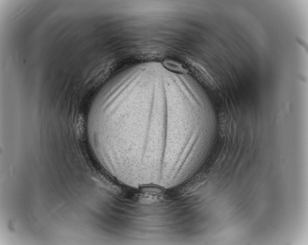 X0000096400077200802141528