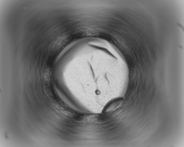 X0000096400078200802141528