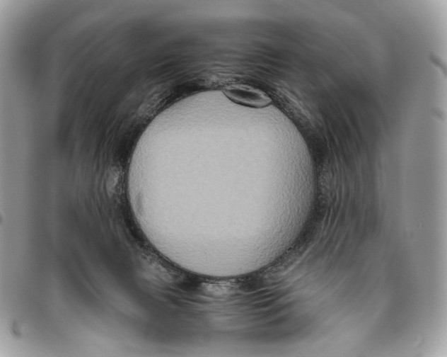 X0000096400079200802141528