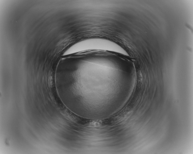 X0000096400080200802141528