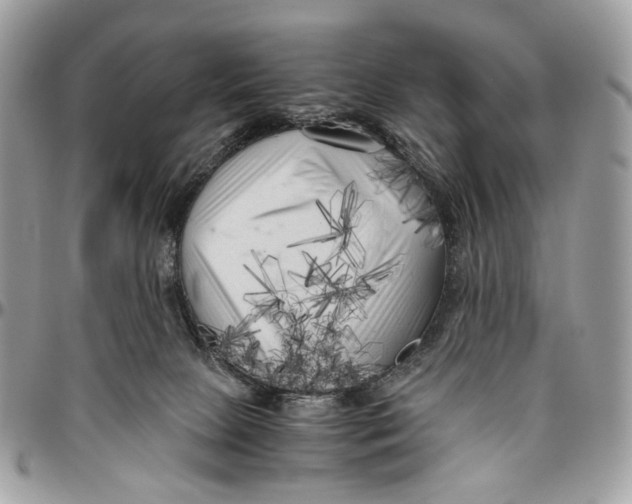 X0000096400081200802141528