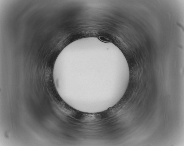 X0000096400083200802141528