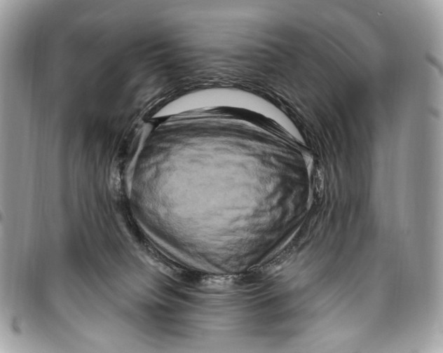 X0000096400084200802141528