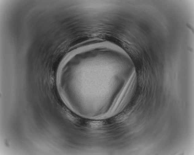 X0000096400085200802141528