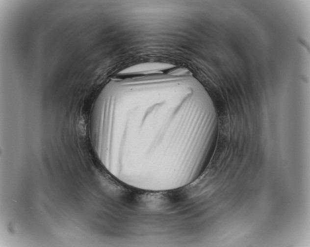 X0000096400086200802141528