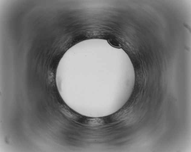 X0000096400087200802141528