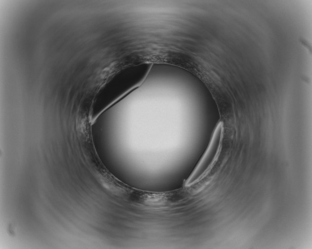 X0000096400088200802141528