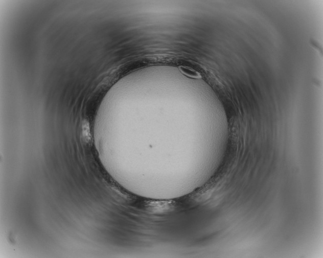 X0000096400089200802141528