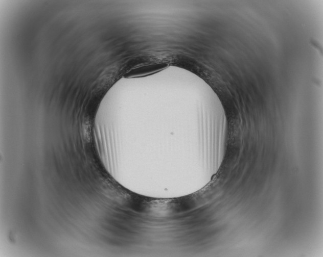 X0000096400090200802141528