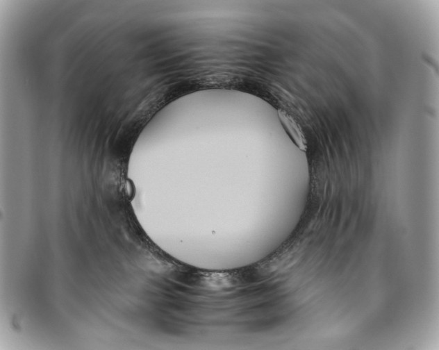 X0000096400091200802141528