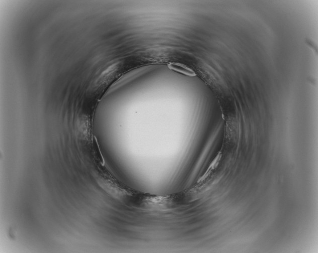 X0000096400092200802141528