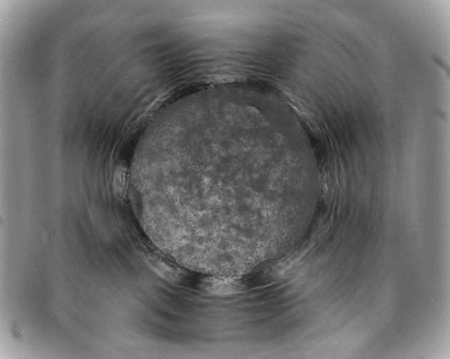 X0000096400093200802141528