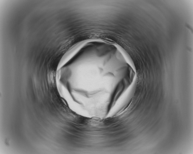 X0000096400094200802141528