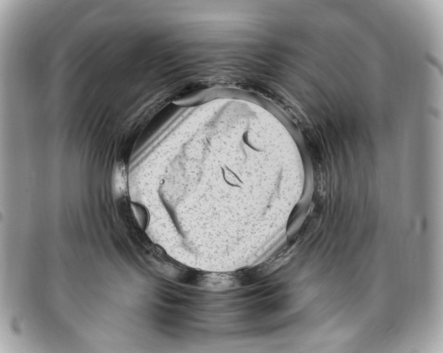 X0000096400095200802141528