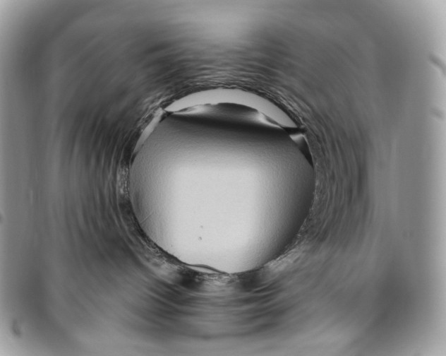 X0000096400096200802141528