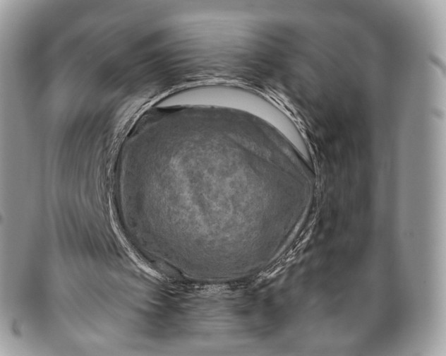 X0000096400097200802141527