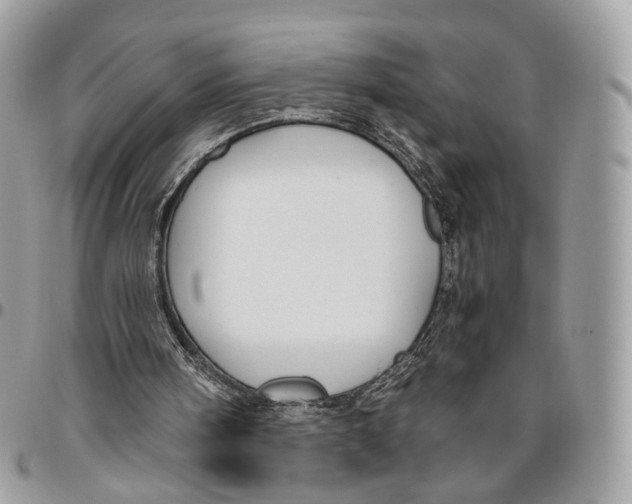 X0000096400098200802141527