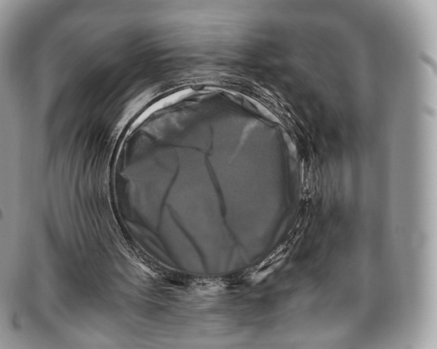 X0000096400099200802141527