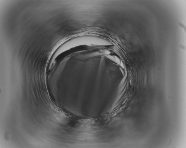 X0000096400100200802141527