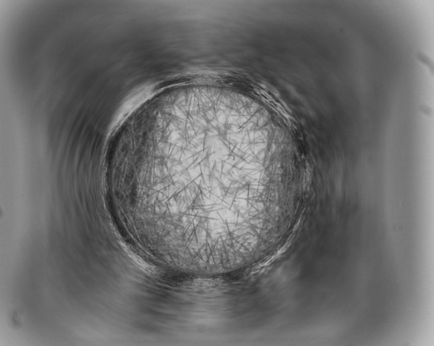 X0000096400101200802141527