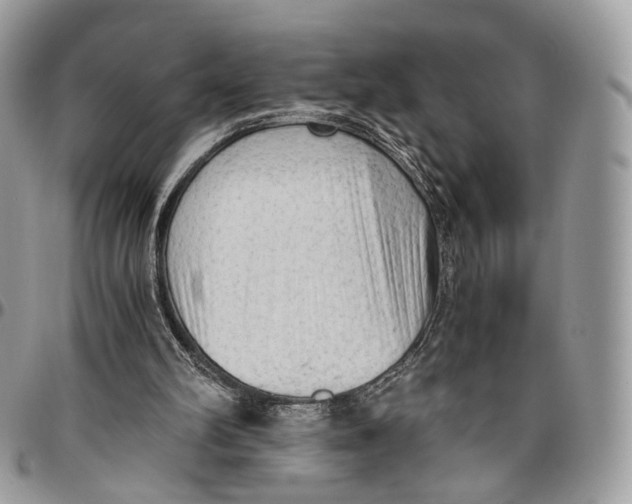 X0000096400102200802141527