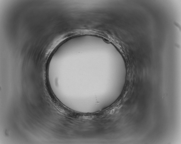 X0000096400103200802141527