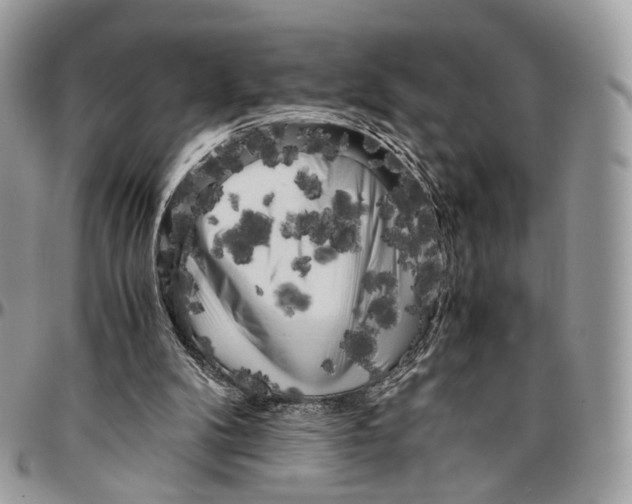 X0000096400104200802141527