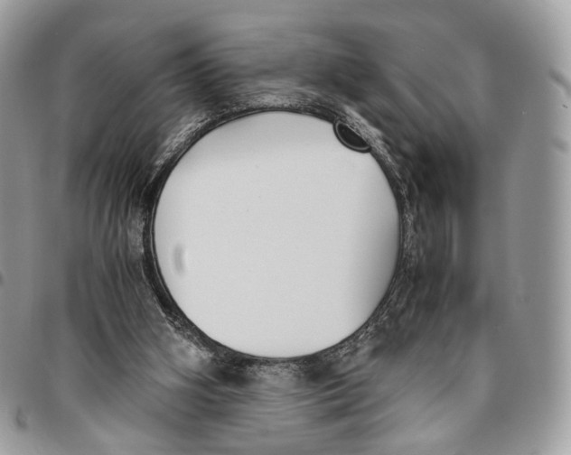 X0000096400106200802141527