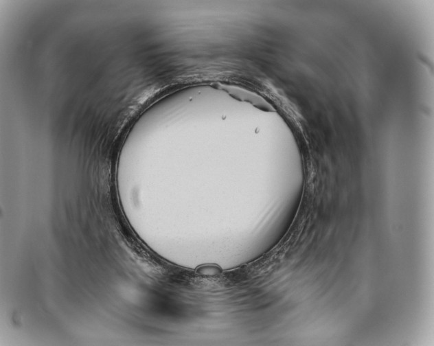 X0000096400107200802141527