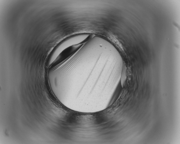 X0000096400108200802141527