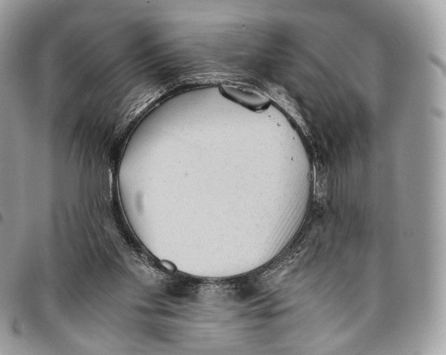 X0000096400109200802141527